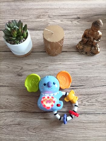 Hochet koala interactif vtech