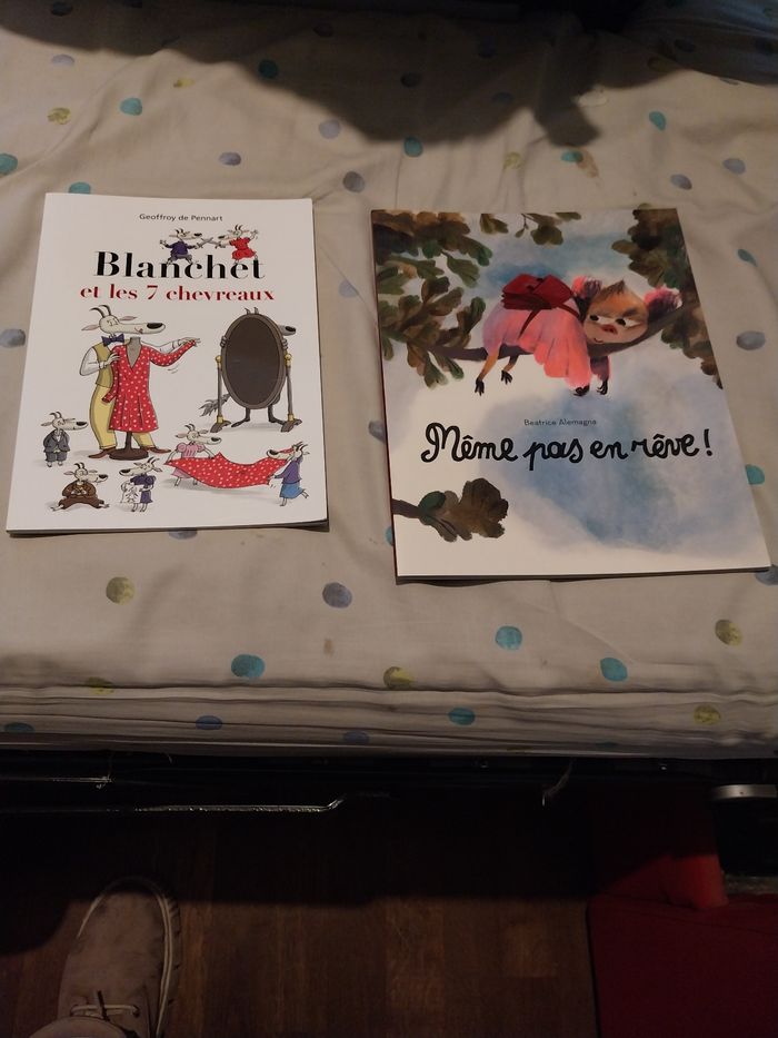 Lot de 11 livres à lire à partir de 3 ans