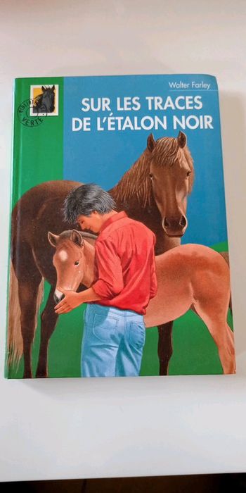 Sur les traces de l'étalon noir