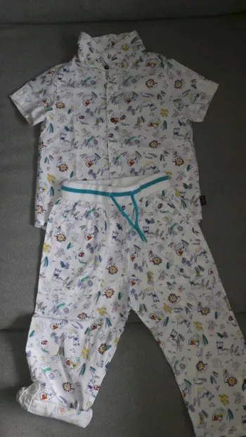 Ensemble safari
