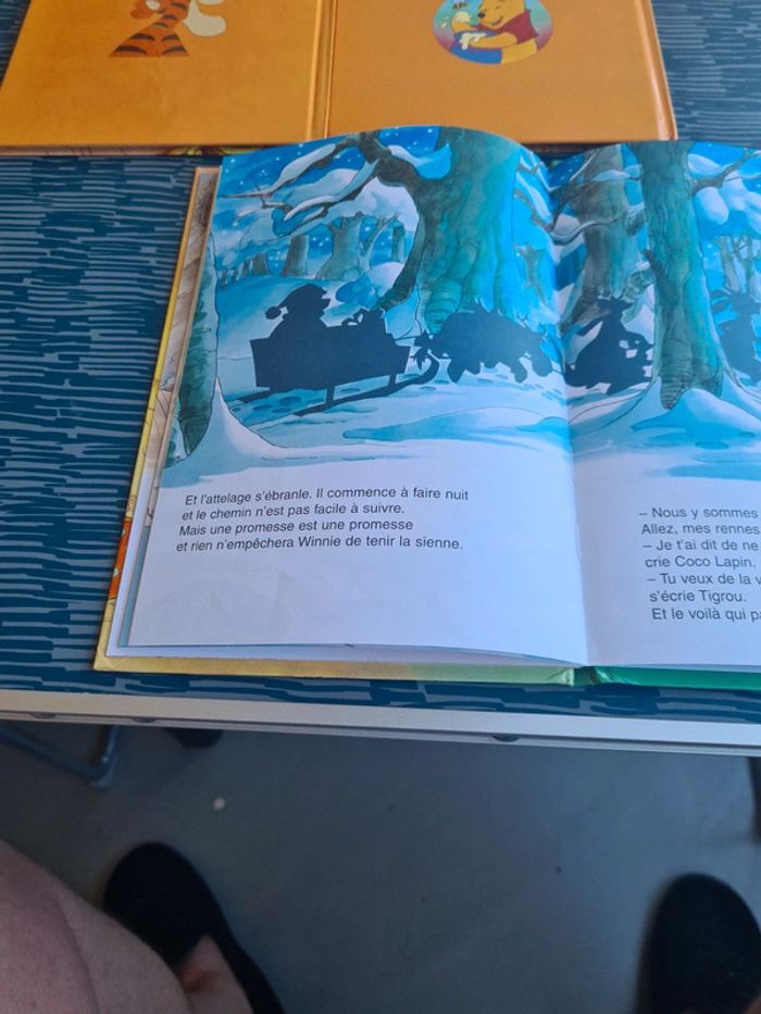 Livres Disney - photo numéro 6