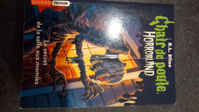 Chair de poule - photo numéro 4