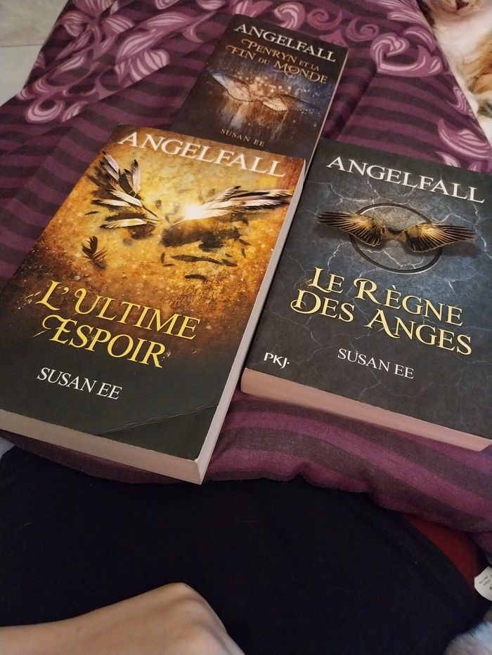Romans Trilogie complète Angelfall tomes 1 à 3 Susan Ee Pocket Jeunesse