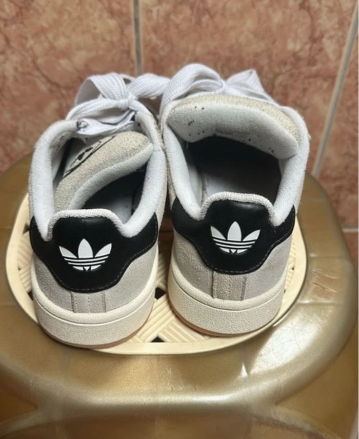 Basket campus - photo numéro 2