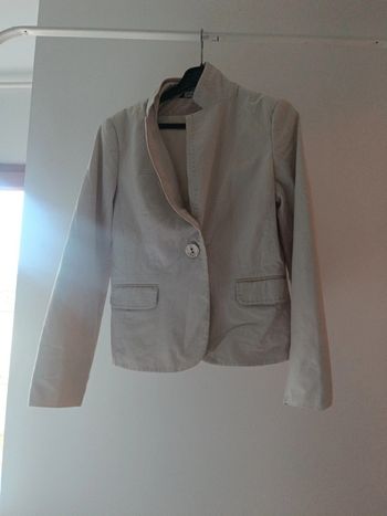 Blazer caroll