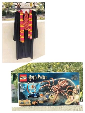 Spécial Halloween déguisement Harry Potter 7/01 et Lego aragog dans la forêt interdite