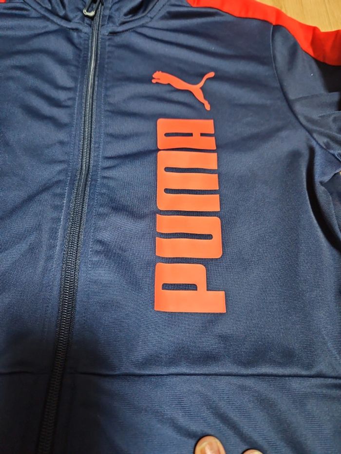 Veste de sport 14 ans - photo numéro 3