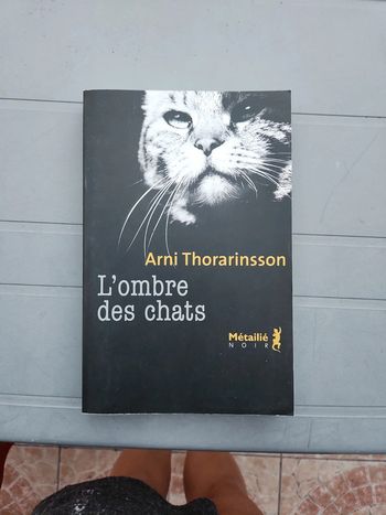 Livre : l'ombre des chats