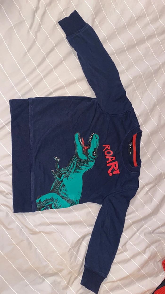 Pull dinosaure - photo numéro 2
