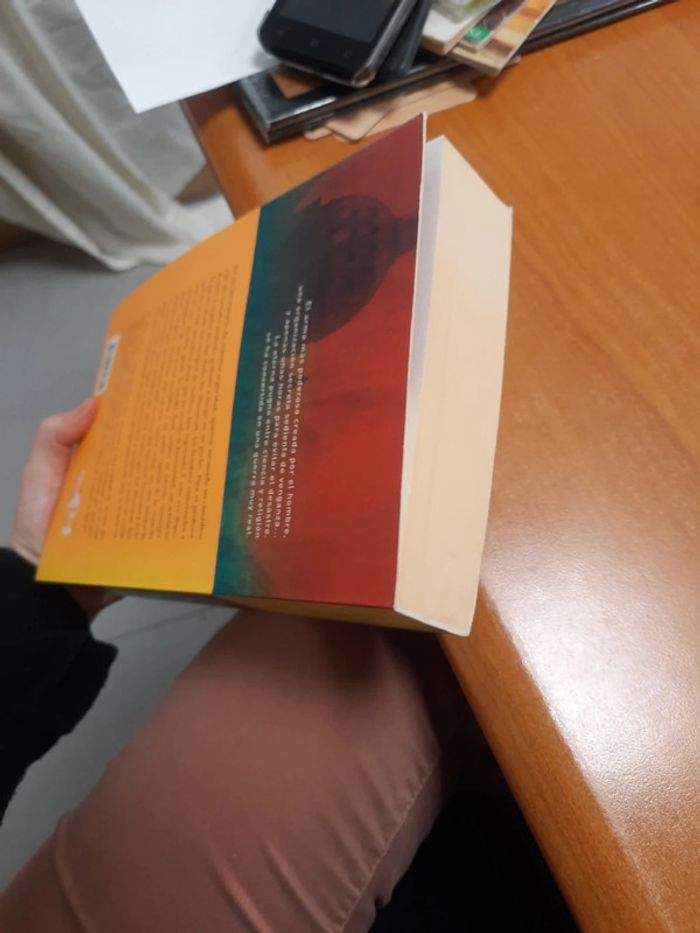 Livre ange et démon en espagnol umbriel - photo numéro 6