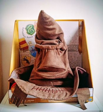 Choixpeau harry potter parlant