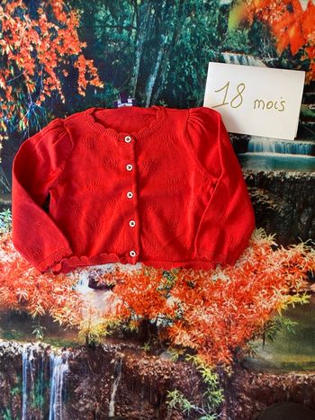 Gilet cardigan Sergent Major – 18 mois – Comme neuf