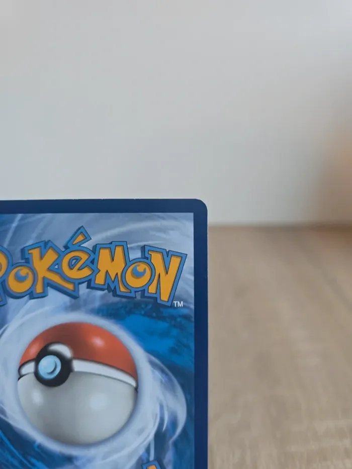 Spinda 141/195 - photo numéro 8