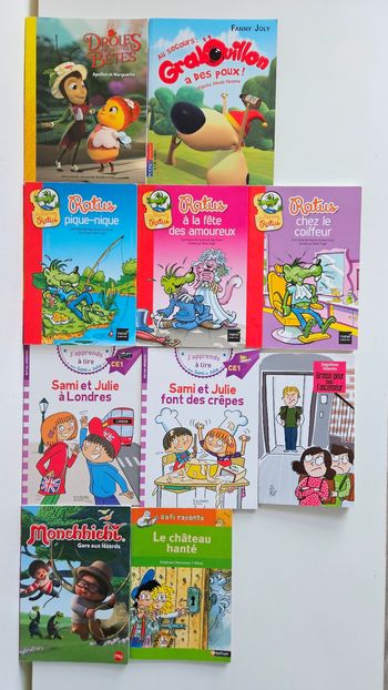 Lot 10 livres niveau CE1 CE2 