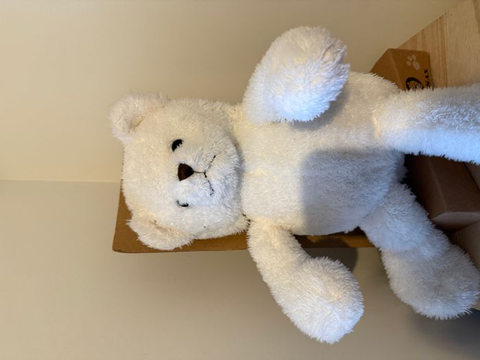 max & sax peluche ours livre - photo numéro 1