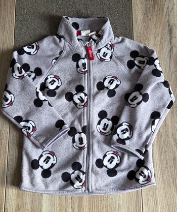 Polaire mickey