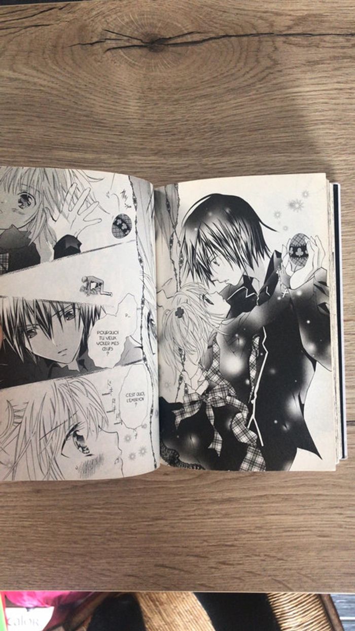 Manga Pour fille - photo numéro 6