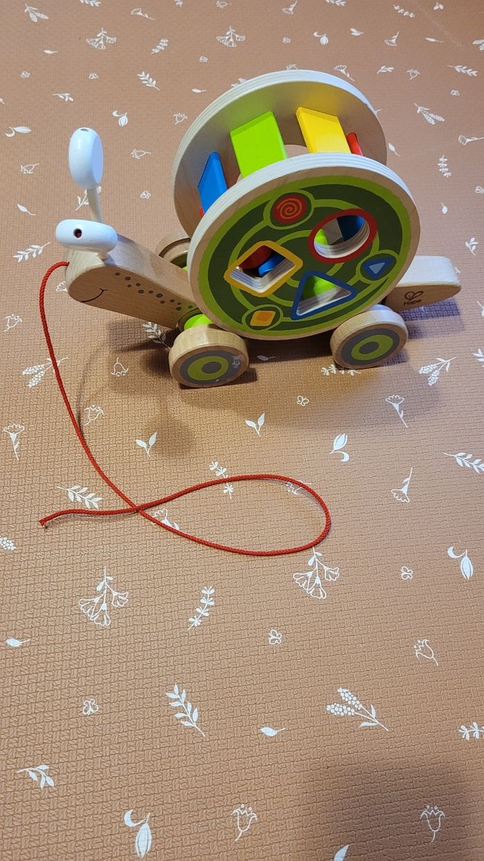 Escargot en bois qui roule