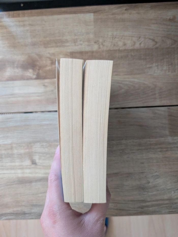 Lot livres La guerre des Elfes - photo numéro 13