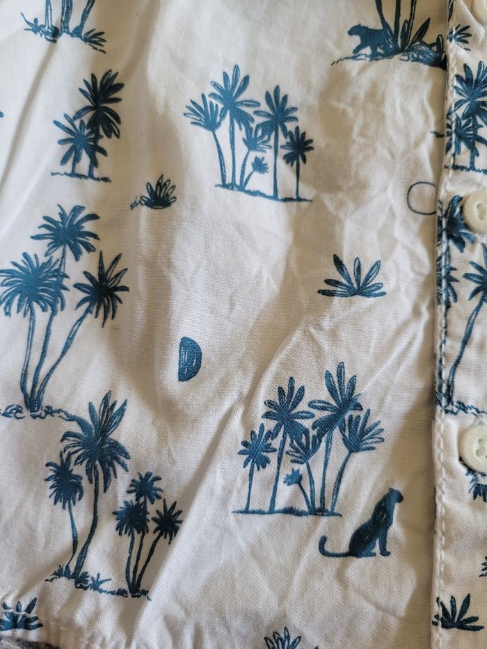 Chemise - photo numéro 2