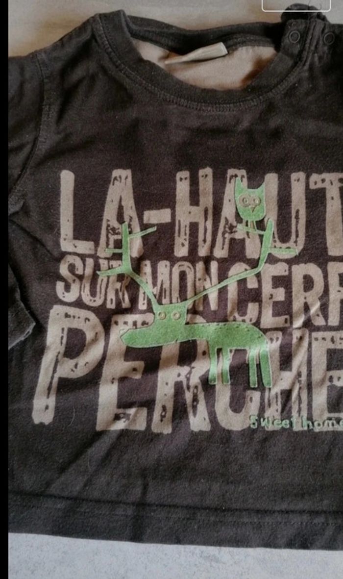 T shirt 12mois - photo numéro 3