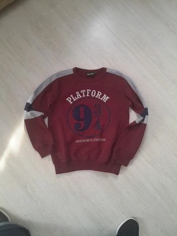Sweat harry Potter