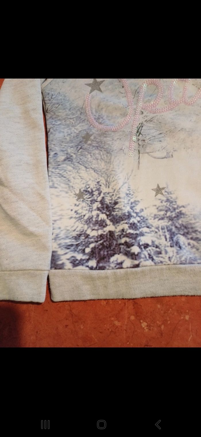 Sweat fille taille 10 ans - photo numéro 3