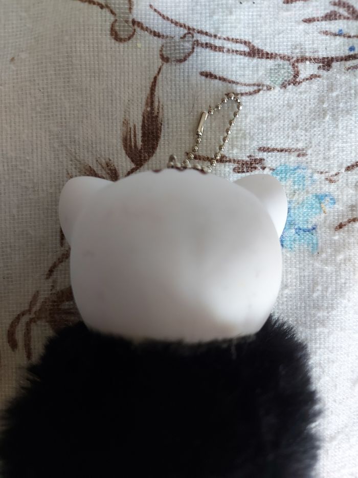 Chat à pompon - photo numéro 3