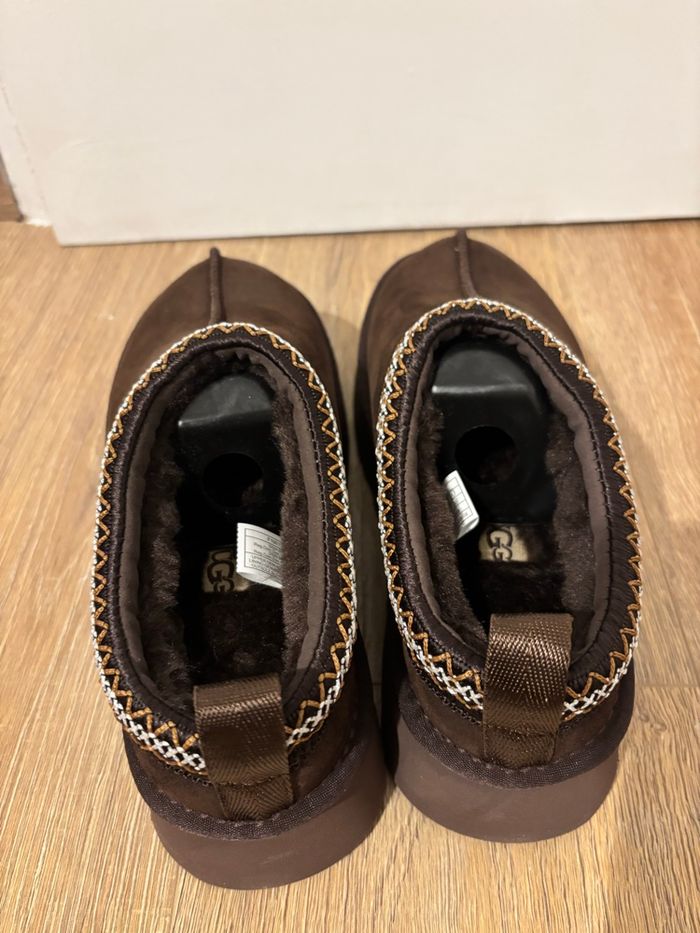 Tasman - photo numéro 4