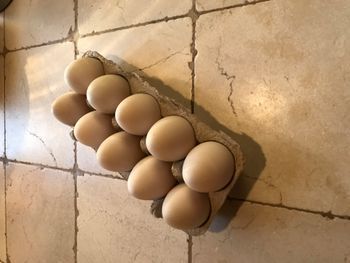 Lot oeufs de canne à cuisiner