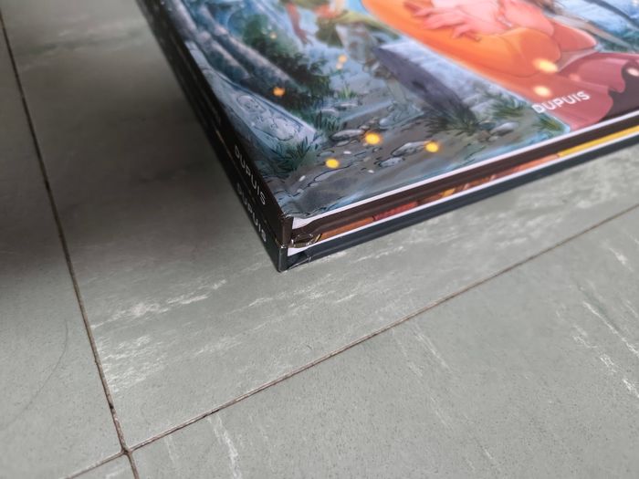 Les soeurs Gremillet

2 bd - photo numéro 3