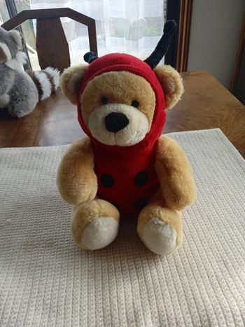 Peluche ours déguiser en coccinelle