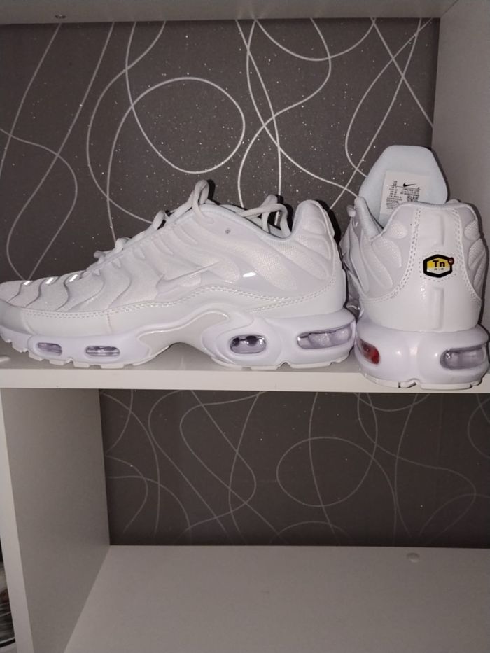 TN blanche - photo numéro 3