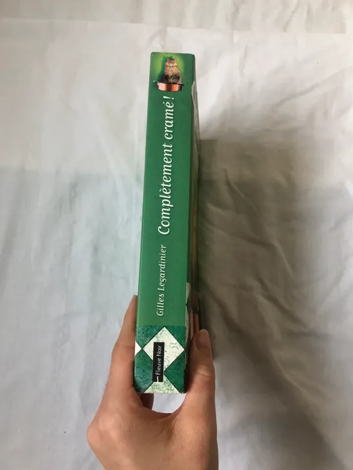 Complètement cramé - photo numéro 2