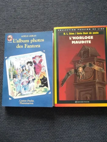Lot de livres