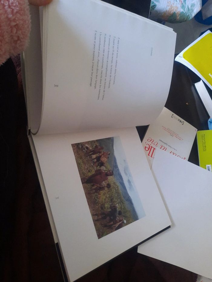 Grand livre vivre et seulement vivre p b - photo numéro 10