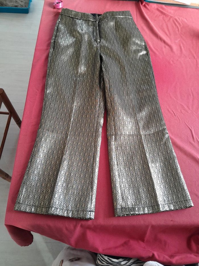 Très beau pantalon de fete please - photo numéro 2