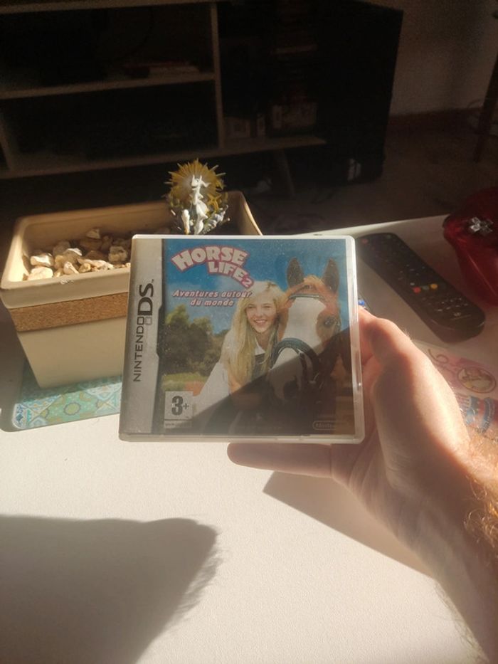 Lot Jeux Nintendo ds pour fille horse life 2 cheval sweet 16 - photo numéro 4