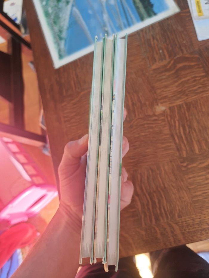 Lot de 3 livre baskup tome 1.2et3. - photo numéro 5