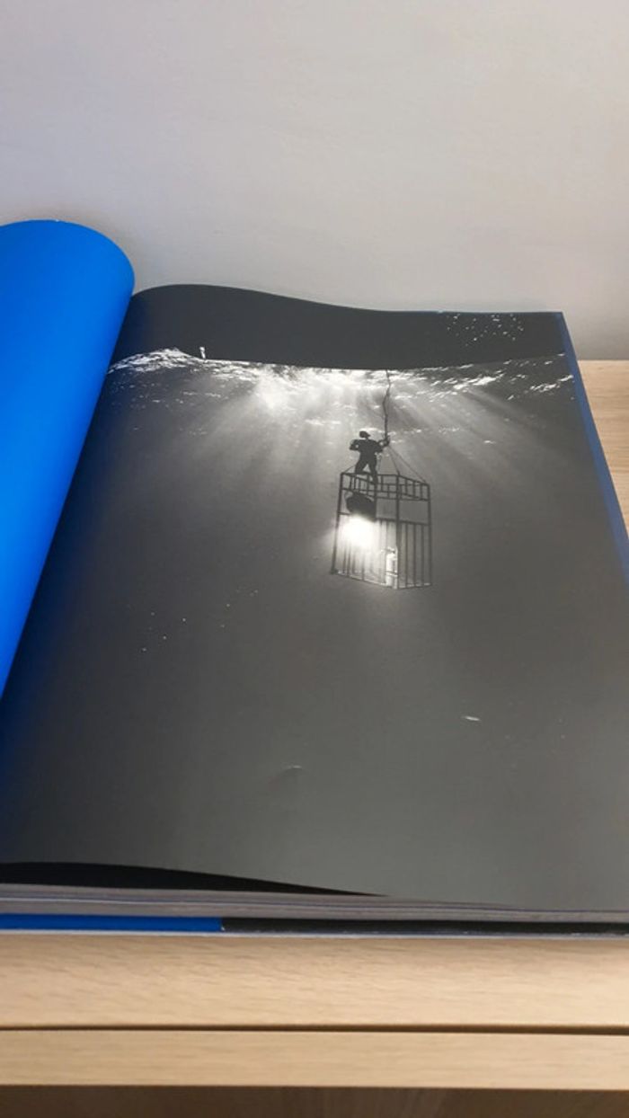 Livre Requins Michel Muller Taschen - photo numéro 6