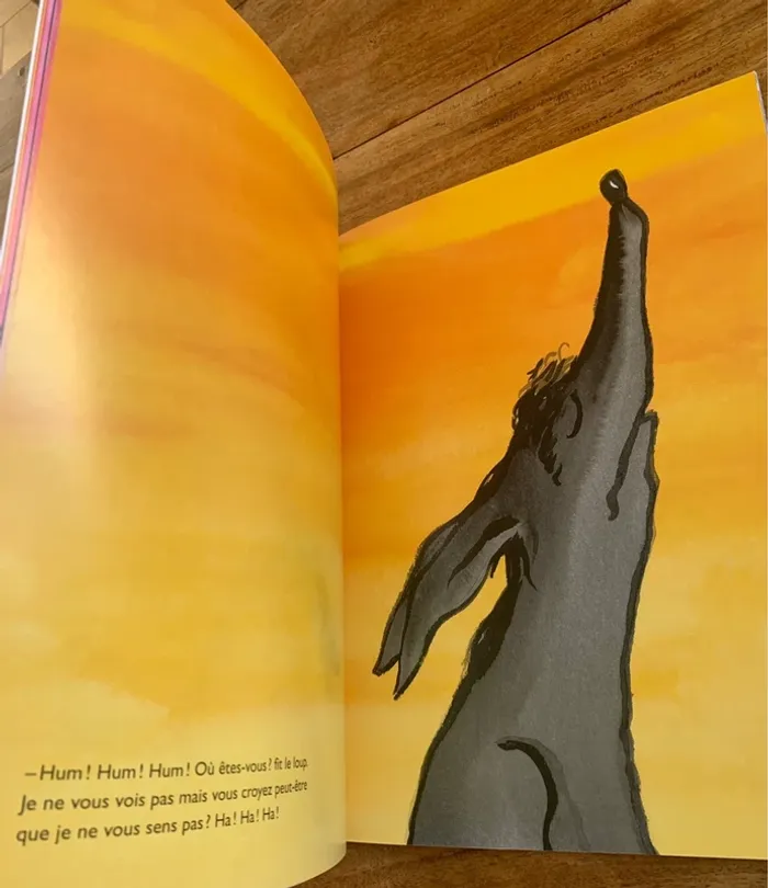 Le chat rouge - Grégoire Solotareff - L’école des Loisirs - photo numéro 2