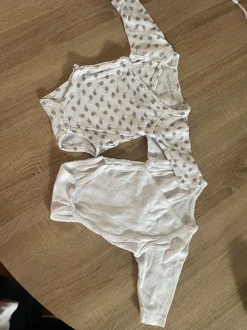 Bodies