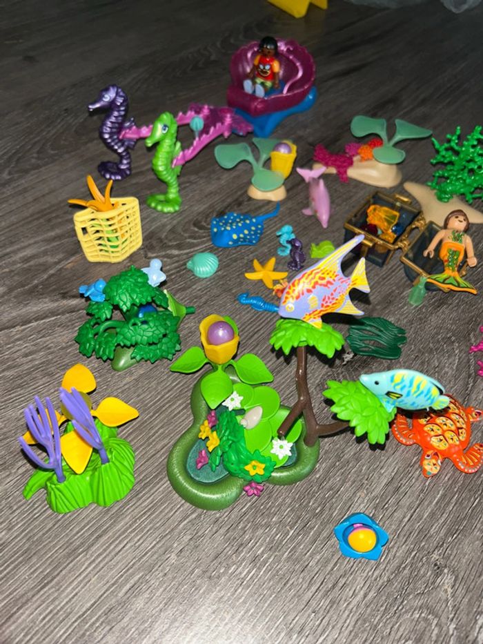 Char de princesse Playmobil avec accessoires - photo numéro 4