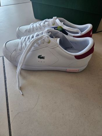 Baskest lacoste pointure 40