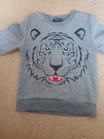 Un sweat 5 ans
