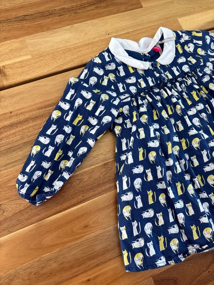 Robe bleue chats - photo numéro 3