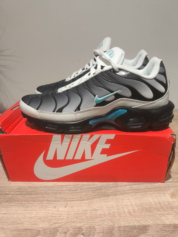 Air max plus  44