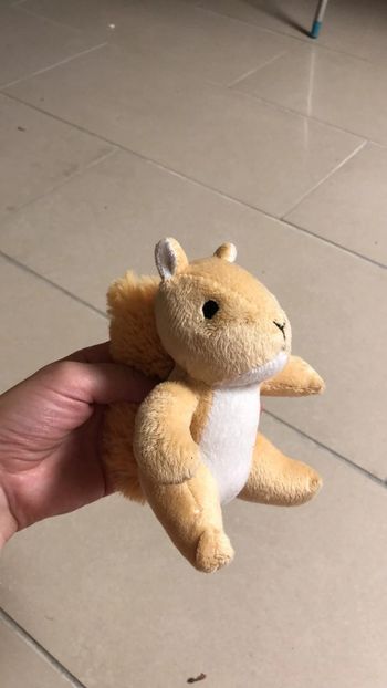 Peluche écureuil