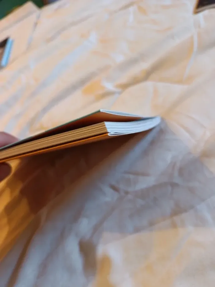 Livre chasseurs de mystères - photo numéro 7