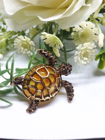 Très belle broche et pondatif tortue 🐢